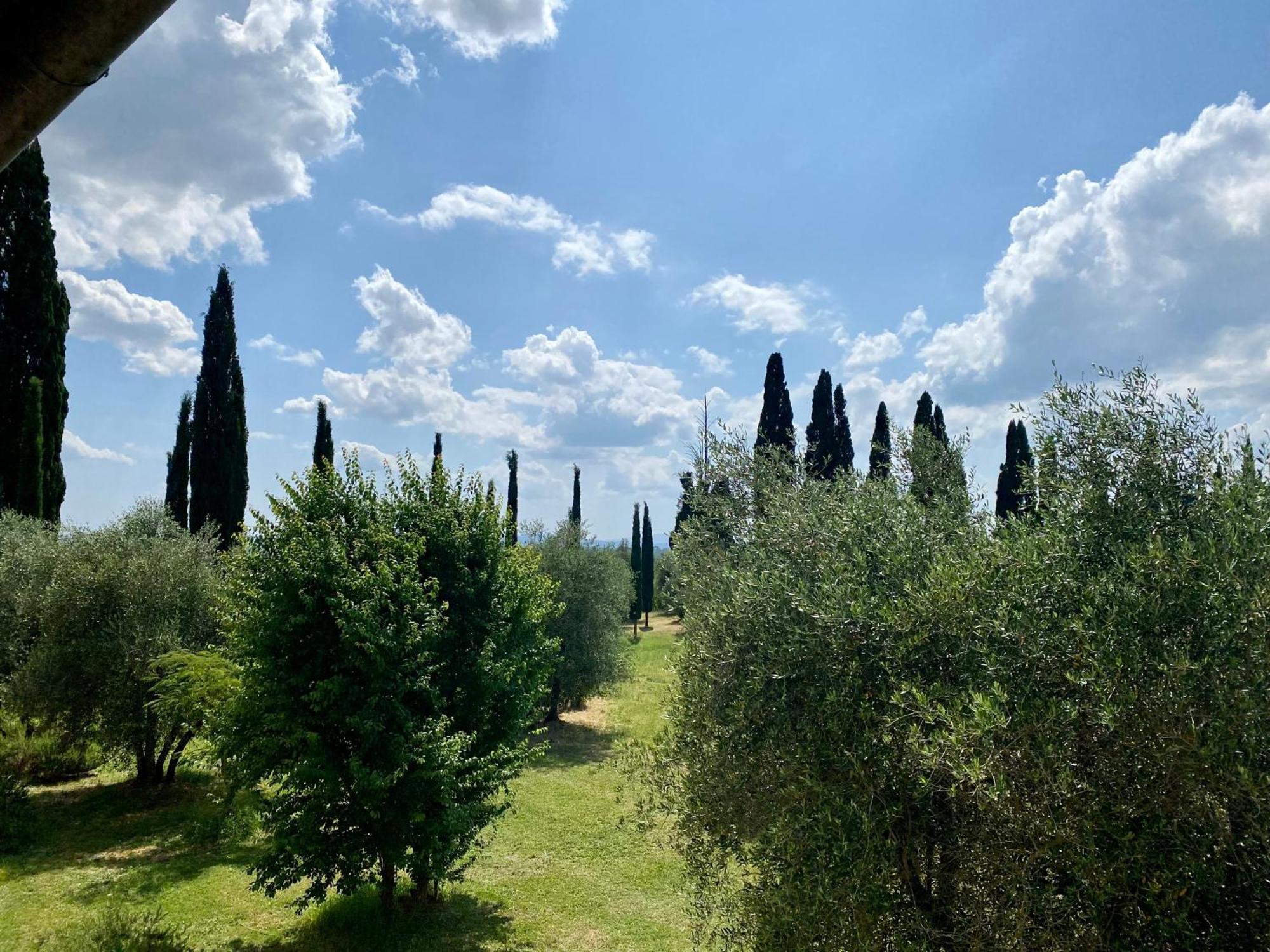 Villa Brignole Monteaperti  Oda fotoğraf